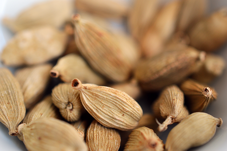 cardamomo_blog Cardamomo – Meus Temperos Favoritos